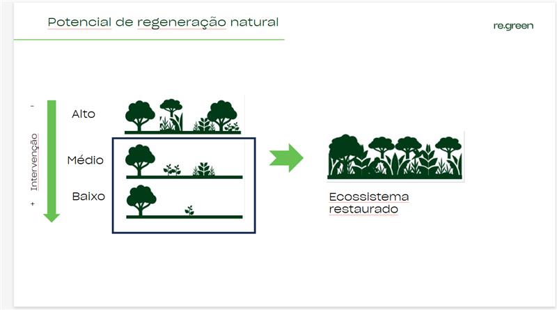 Imagem indica os níveis de potencial de regeneração natural de acordo com o algoritmo da re.green, entre alto médio e baixo.